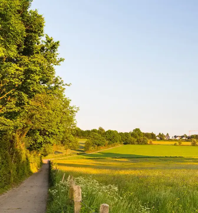 Tourismusregion Nordeifel | Stadt Mechernich