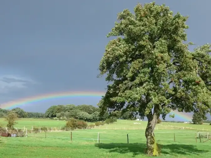 Natur & Nationalpark | Stadt Mechernich