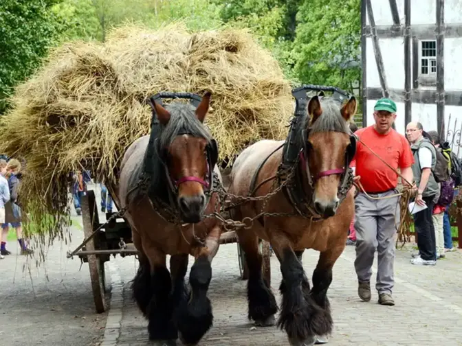 Historischer Jahrmarkt LVR-Freilichtmuseum Kommern | Stadt Mechernich Historischer Jahrmarkt LVR-Freilichtmuseum Kommern | Stadt Mechernich