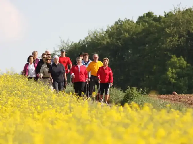 Nordic Walking | Stadt Mechernich Nordic Walking | Stadt Mechernich