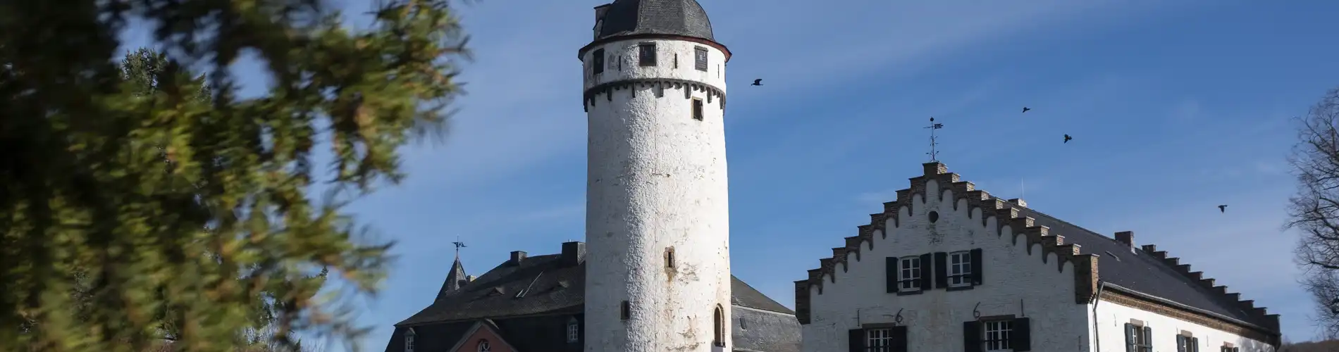 Burg Zievel | Stadt Mechernich